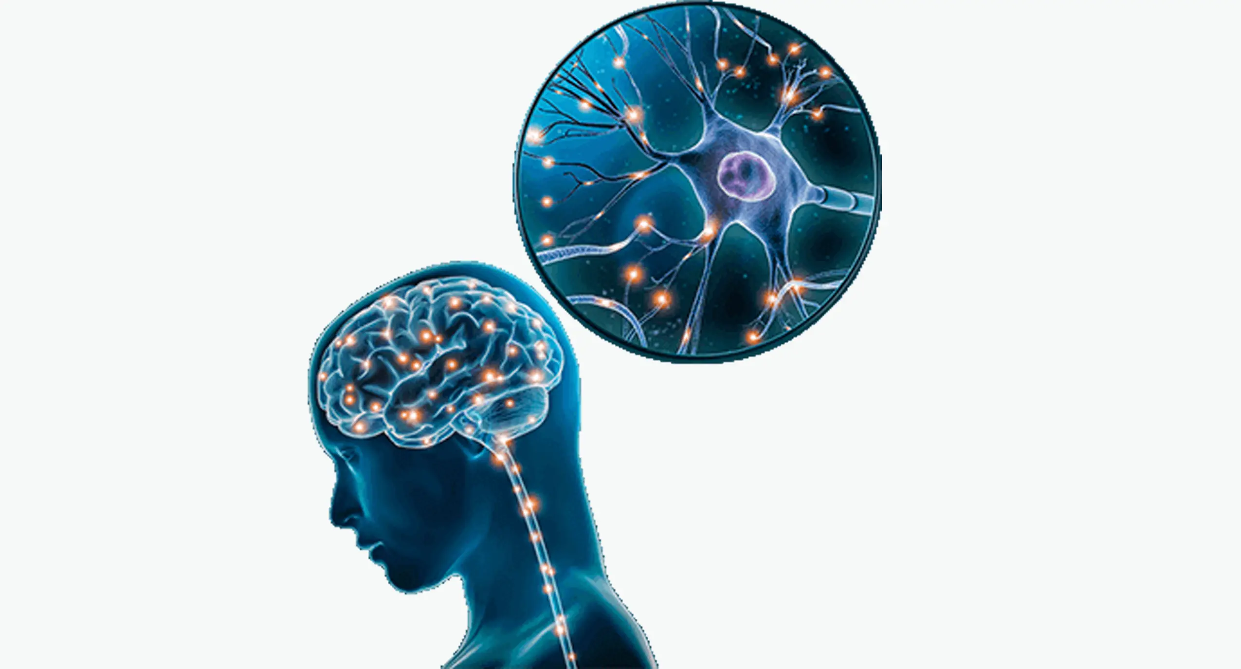 How The Brain Song works to improve memory and focus enhancement using sound frequencies for cognitive performance boost - the brain song reviews